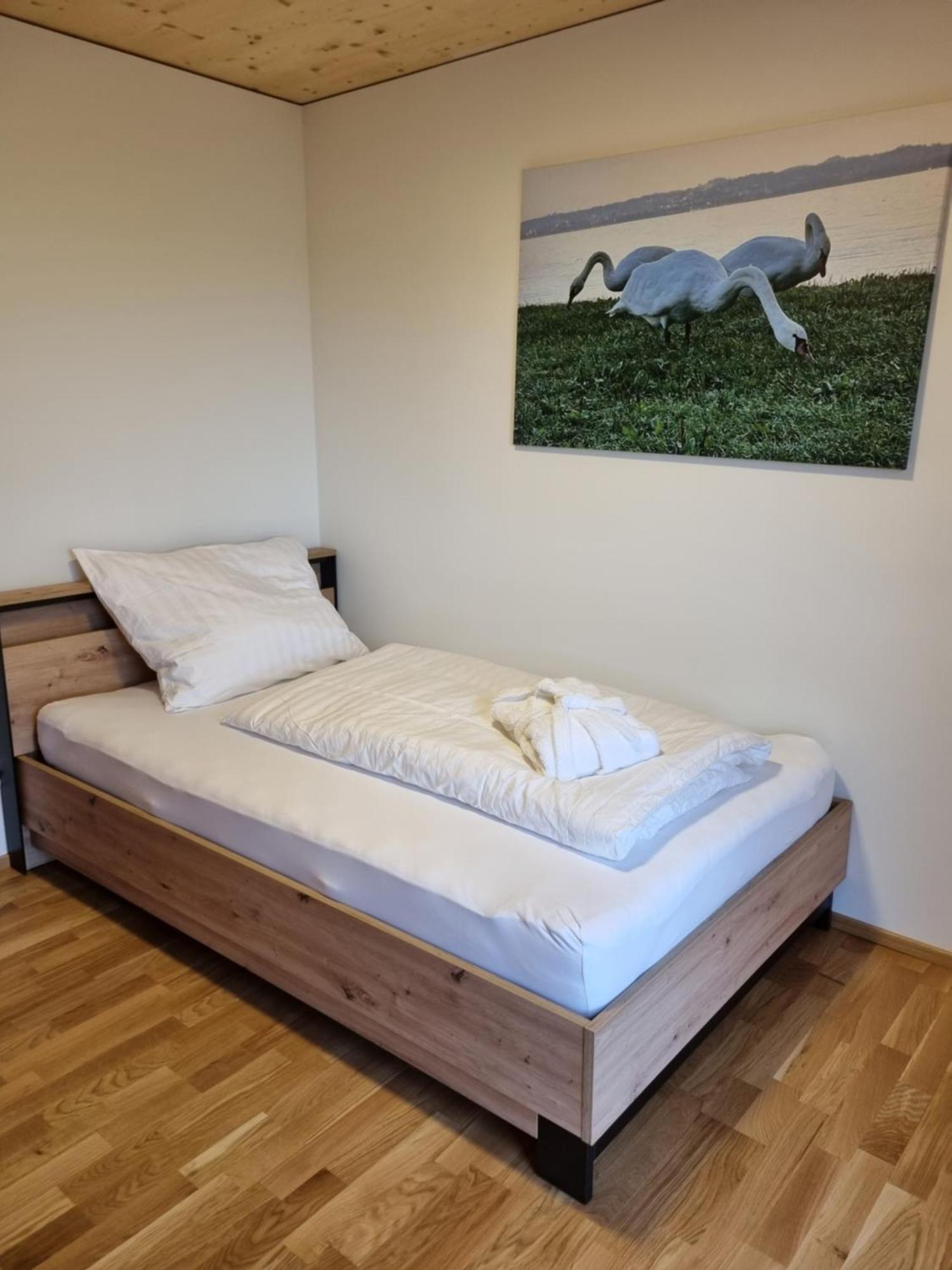 Ad-Fontanas Appartements Bregenz Exteriér fotografie